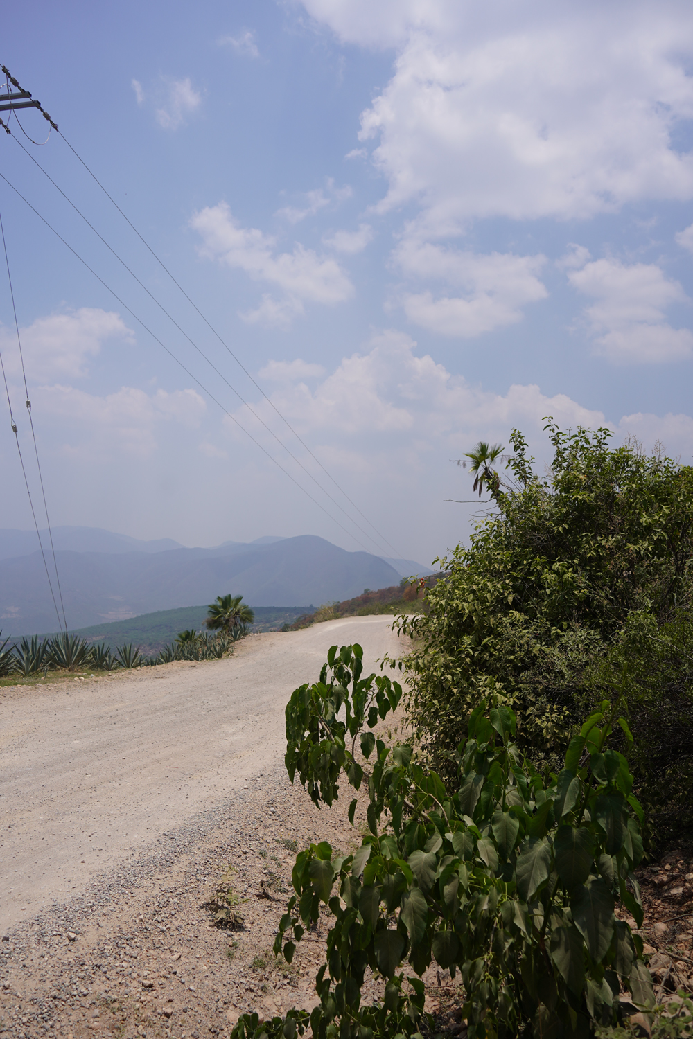 Image gallery marquee