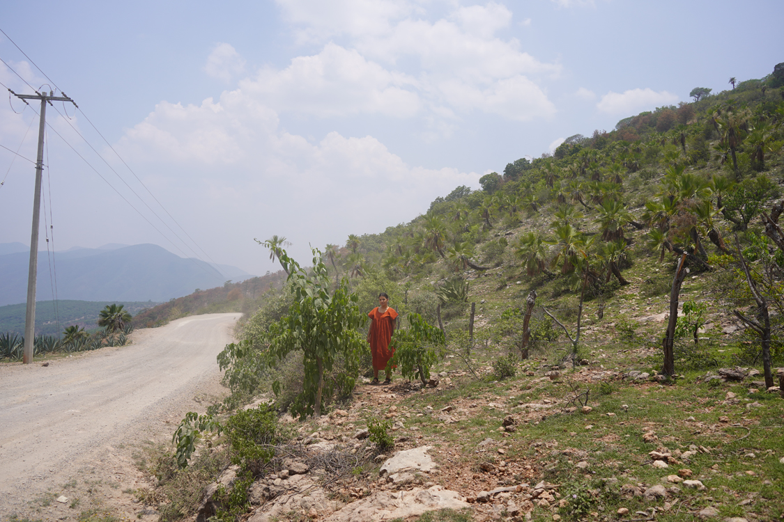 Image gallery marquee