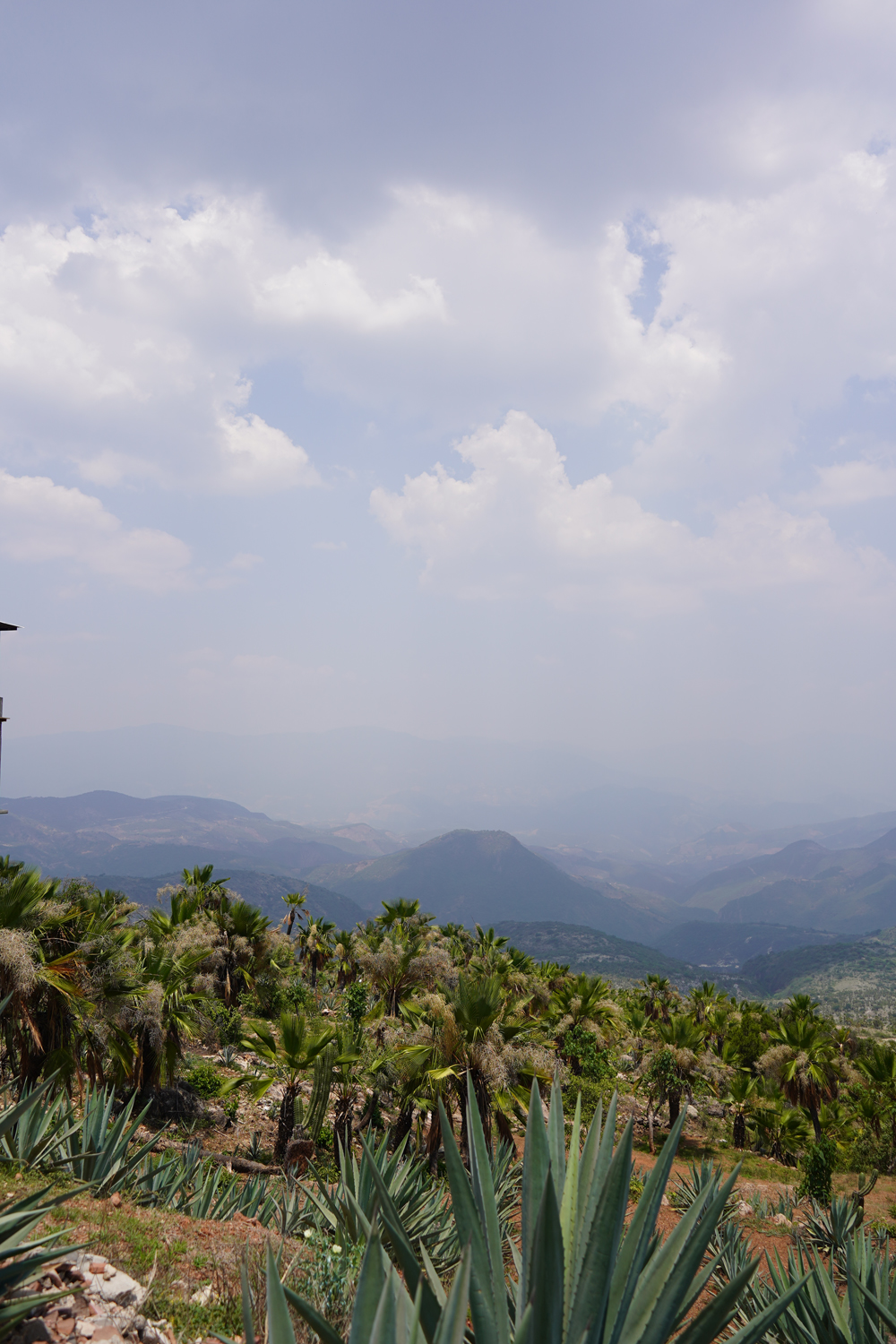 Image gallery marquee