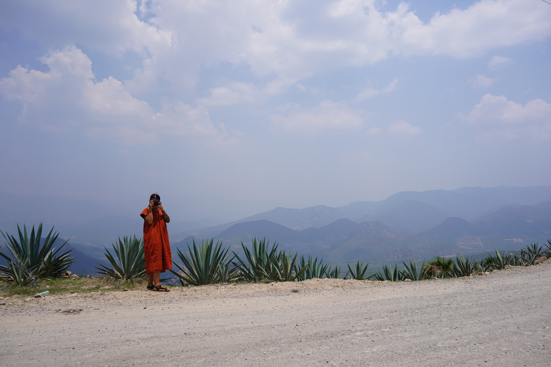 Image gallery marquee