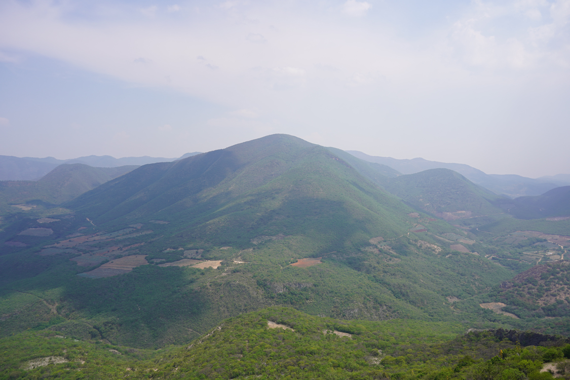 Image gallery marquee