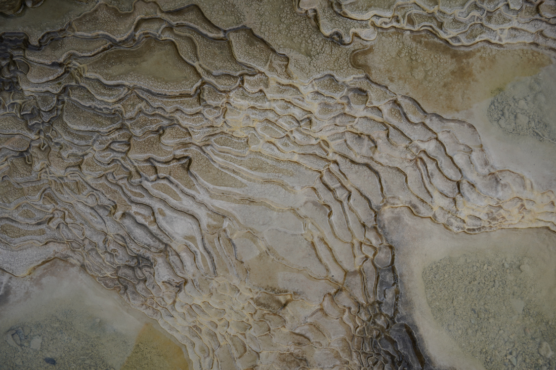 Image gallery marquee