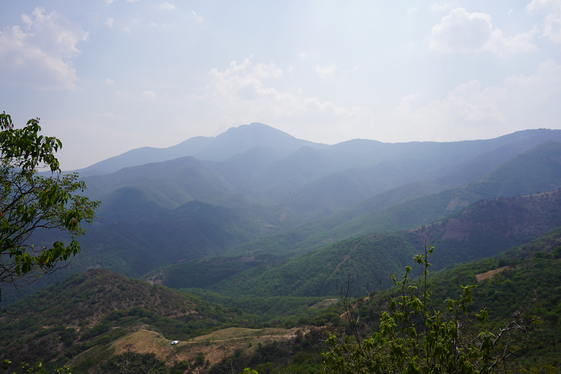 Image gallery marquee