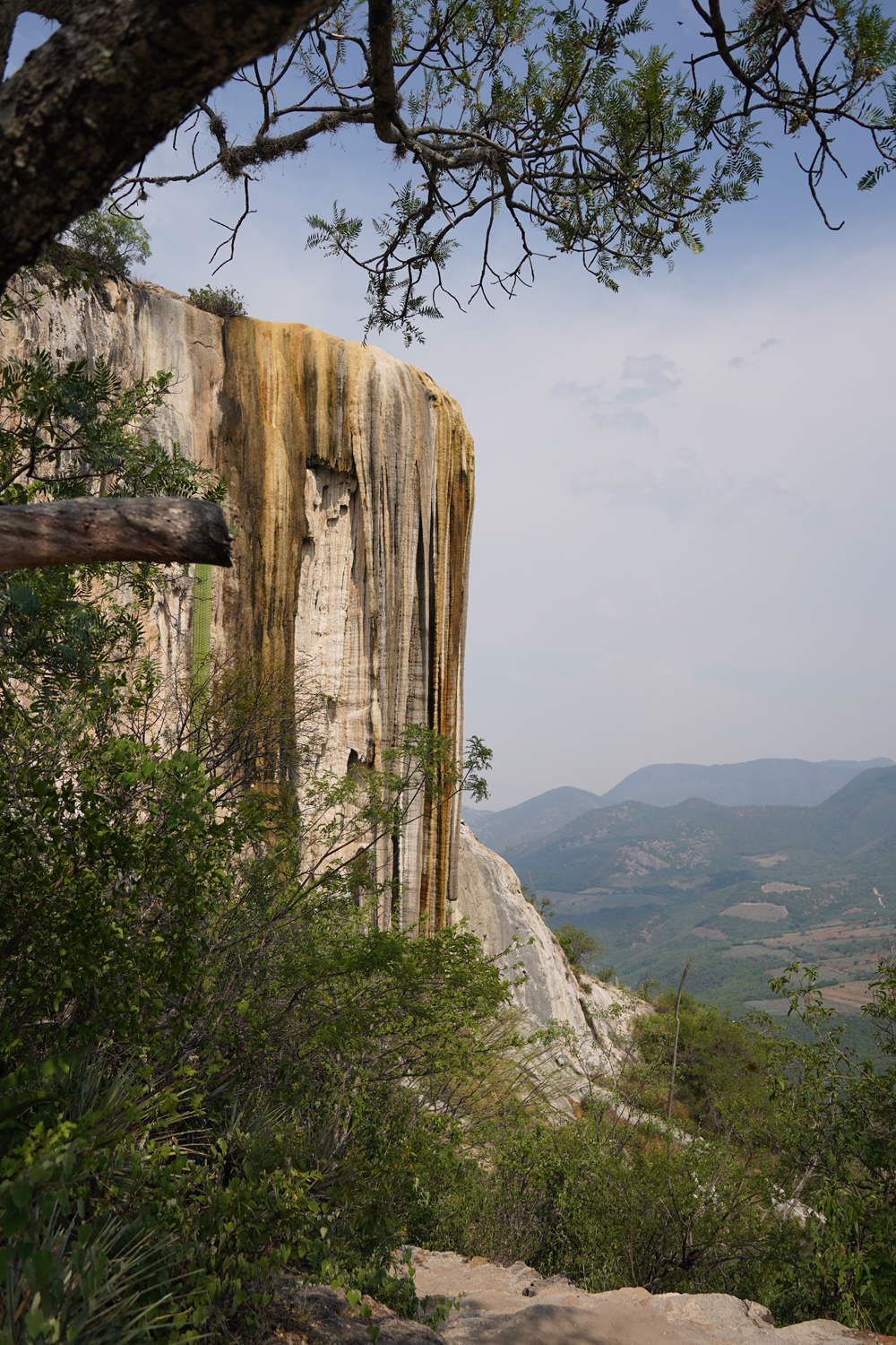 Image gallery marquee