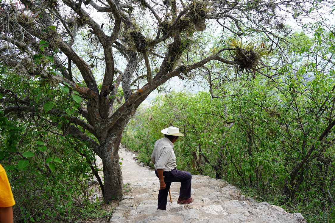 Image gallery marquee