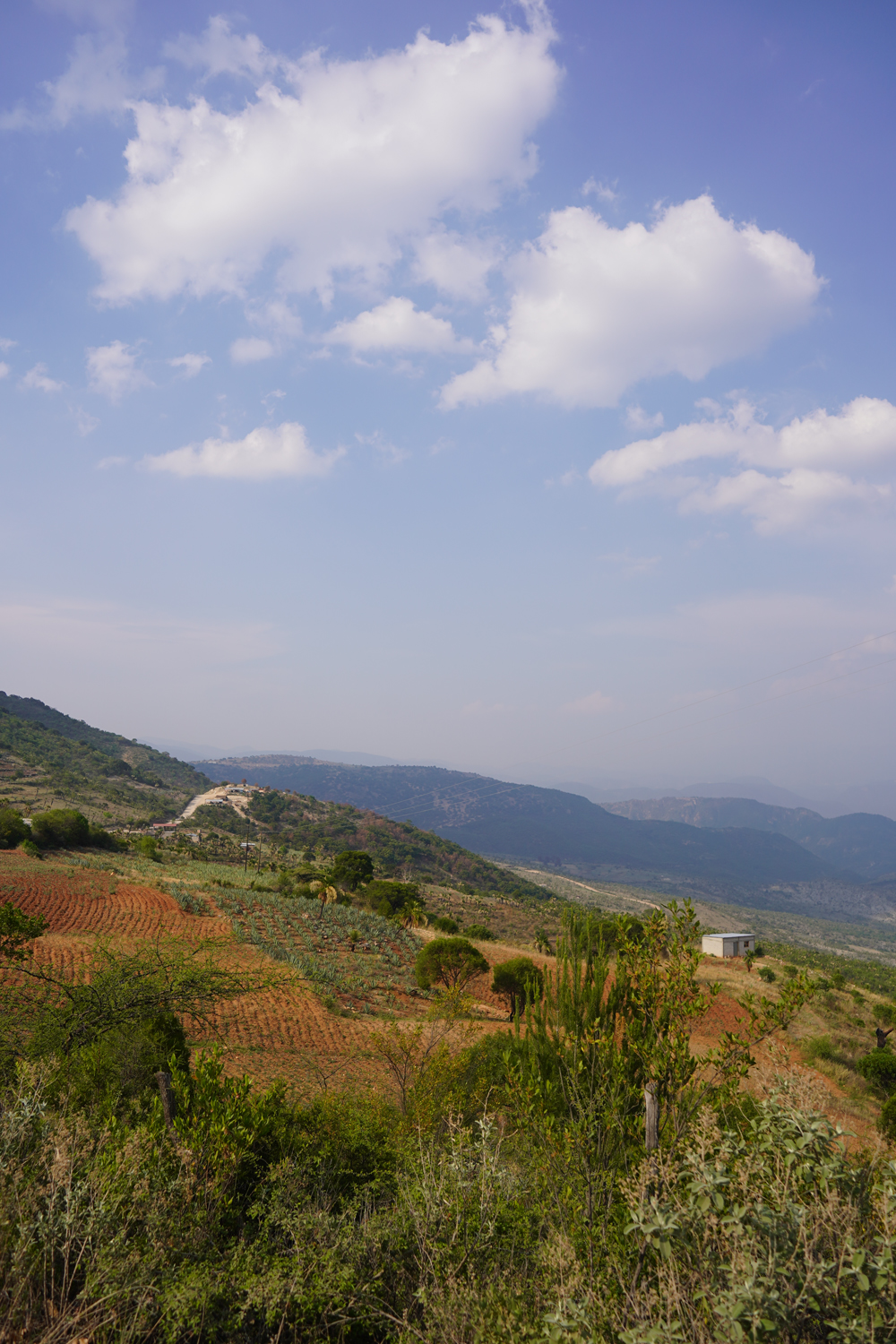 Image gallery marquee