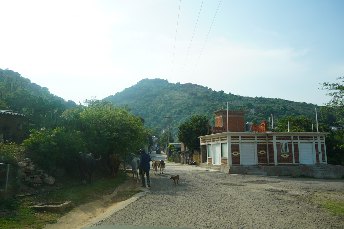 Image gallery marquee